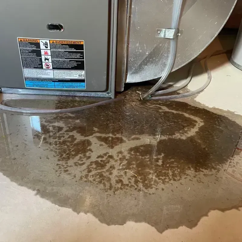 Appliance Leak Cleanup in Sleepy Hollow, IL